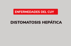 Distomatosis hepática